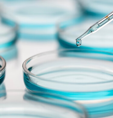 Пипетка и чашка Петри